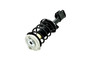Suspension Strut and Coil Spring Assembly FCS 1333761