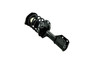 Suspension Strut and Coil Spring Assembly FCS 1333761