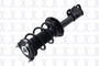 Suspension Strut and Coil Spring Assembly
