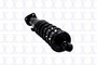 Focus Auto Parts Suspension Strut and Coil Spring Assembly P/N:1345480R