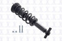 Focus Auto Parts Suspension Strut and Coil Spring Assembly P/N:1355148L