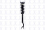 Focus Auto Parts Suspension Strut and Coil Spring Assembly P/N:1355174R