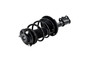 Focus Auto Parts Suspension Strut and Coil Spring Assembly P/N:2333817L