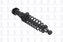 Suspension Strut and Coil Spring Assembly