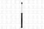 Focus Auto Parts Suspension Shock Absorber P/N:346660