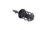 Focus Auto Parts Suspension Strut and Coil Spring Assembly P/N:4335909R