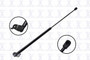 Focus Auto Parts Hood Lift Support P/N:84179