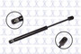 Focus Auto Parts Hood Lift Support P/N:84182
