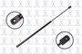 Focus Auto Parts Hood Lift Support P/N:84295