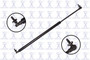 Focus Auto Parts Liftgate Lift Support P/N:84535