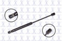 Focus Auto Parts Hood Lift Support P/N:84541