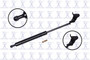 Focus Auto Parts Hood Lift Support P/N:84606
