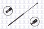 Focus Auto Parts Hood Lift Support P/N:86310