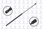 Focus Auto Parts Hood Lift Support P/N:86323