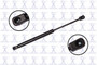 Focus Auto Parts Hood Lift Support P/N:86351