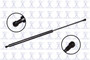 Liftgate Lift Support-Hatch Lift Support FCS 86747 fits 08-13 Nissan X-Trail