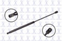 Focus Auto Parts Hood Lift Support P/N:86753