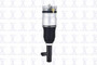 Focus Auto Parts Air Suspension Strut P/N:92001