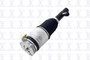 Focus Auto Parts Air Suspension Strut P/N:92001