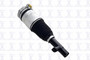 Focus Auto Parts Air Suspension Strut P/N:92001
