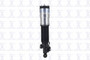 Air Suspension Strut FCS 92018