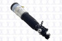 Air Suspension Strut FCS 92018