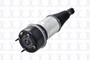 Focus Auto Parts Air Suspension Strut P/N:92039