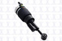 Focus Auto Parts Air Suspension Strut P/N:99031
