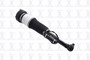 Air Suspension Strut FCS 99049