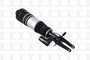 Focus Auto Parts Air Suspension Strut P/N:99052