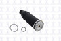 Air Suspension Spring FCS Q9001 fits 01-05 Audi Allroad Quattro
