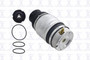 Focus Auto Parts Air Suspension Spring P/N:Q9011