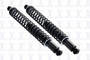 Suspension Shock Absorber and Coil Spring Assembly FCS SC00018