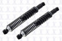 Focus Auto Parts Suspension Shock Absorber and Coil Spring Assembly P/N:SC00020