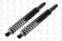 Suspension Shock Absorber and Coil Spring Assembly FCS SC00030