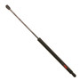 Hatch Lift Support TRW TSG204039