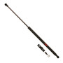 Hatch Lift Support fits 1984-1987 Honda Civic  TRW AUTOMOTIVE