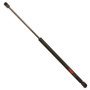 TRW Hood Lift Support P/N:TSG304010