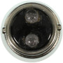 Courtesy Light Bulb Wagner Lighting 1004