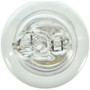 Wagner Lighting Back Up Light Bulb,Dome Light Bulb,Map Light Bulb,Tail Light Bulb P/N:904