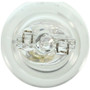 Wagner Lighting Courtesy Light Bulb,Dome Light Bulb,Map Light Bulb,Tail Light Bulb P/N:916