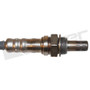 Oxygen Sensor-OE Replacement Walker Products 350-34152