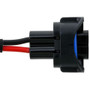 Headlamp Socket