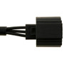 Headlamp Socket