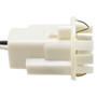 Parking Light Bulb Socket WVE 6S1006