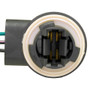 Wells Vehicle Electronics Brake Light Socket,Parking Light Bulb Socket,Turn Signal Light Socket P/N:6S1078