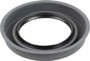 Wheel Seal fits 1982-2005 Pontiac Sunfire Sunbird Grand Am  SKF (CHICAGO RAWHIDE