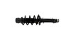 Suspension Strut and Coil Spring Assembly-Strut-plus KYB SR4052