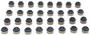 MAHLE Engine Valve Stem Oil Seal Set P/N:SS46109
