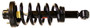 Monroe Shocks & Struts Suspension Strut and Coil Spring Assembly P/N:171138